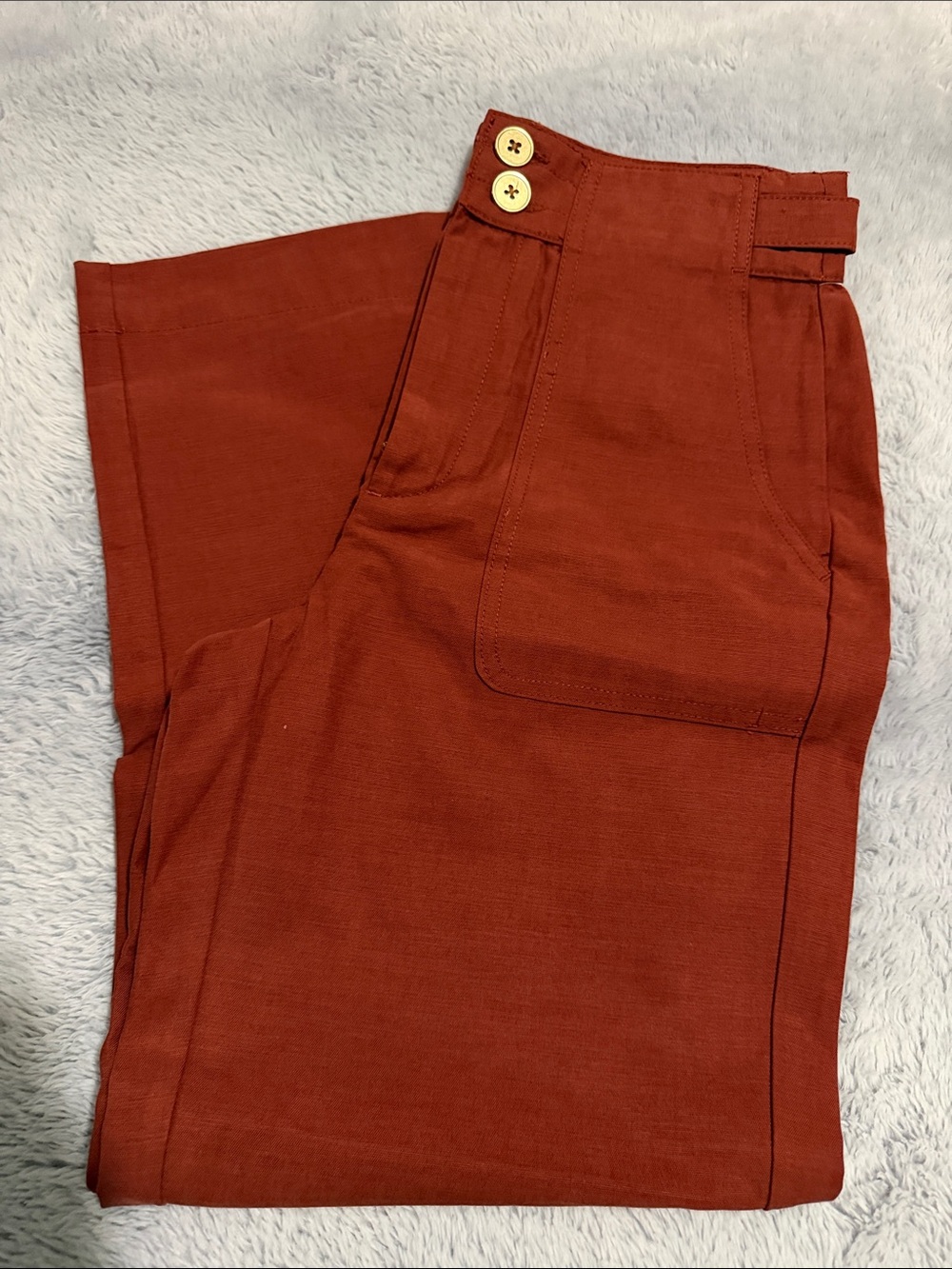 Men's Rust Red Casual Pants
